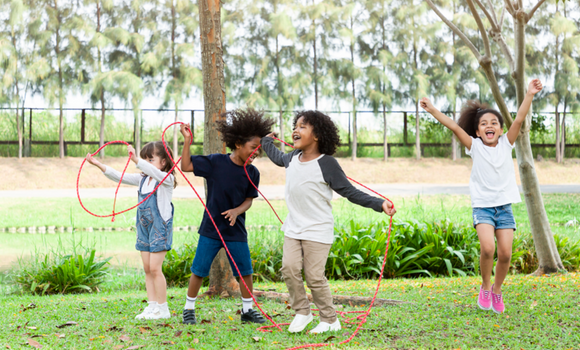 Our programmes small card Our programmes small card