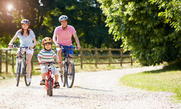 Our programmes small card Our programmes small card