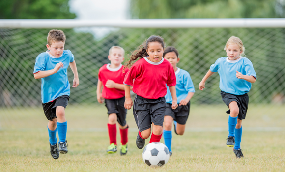 Our programmes small card Our programmes small card