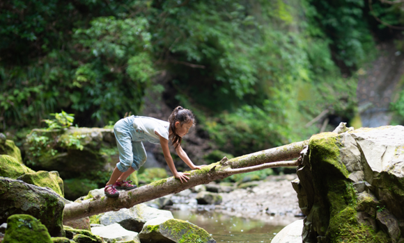 Our programmes small card Our programmes small card