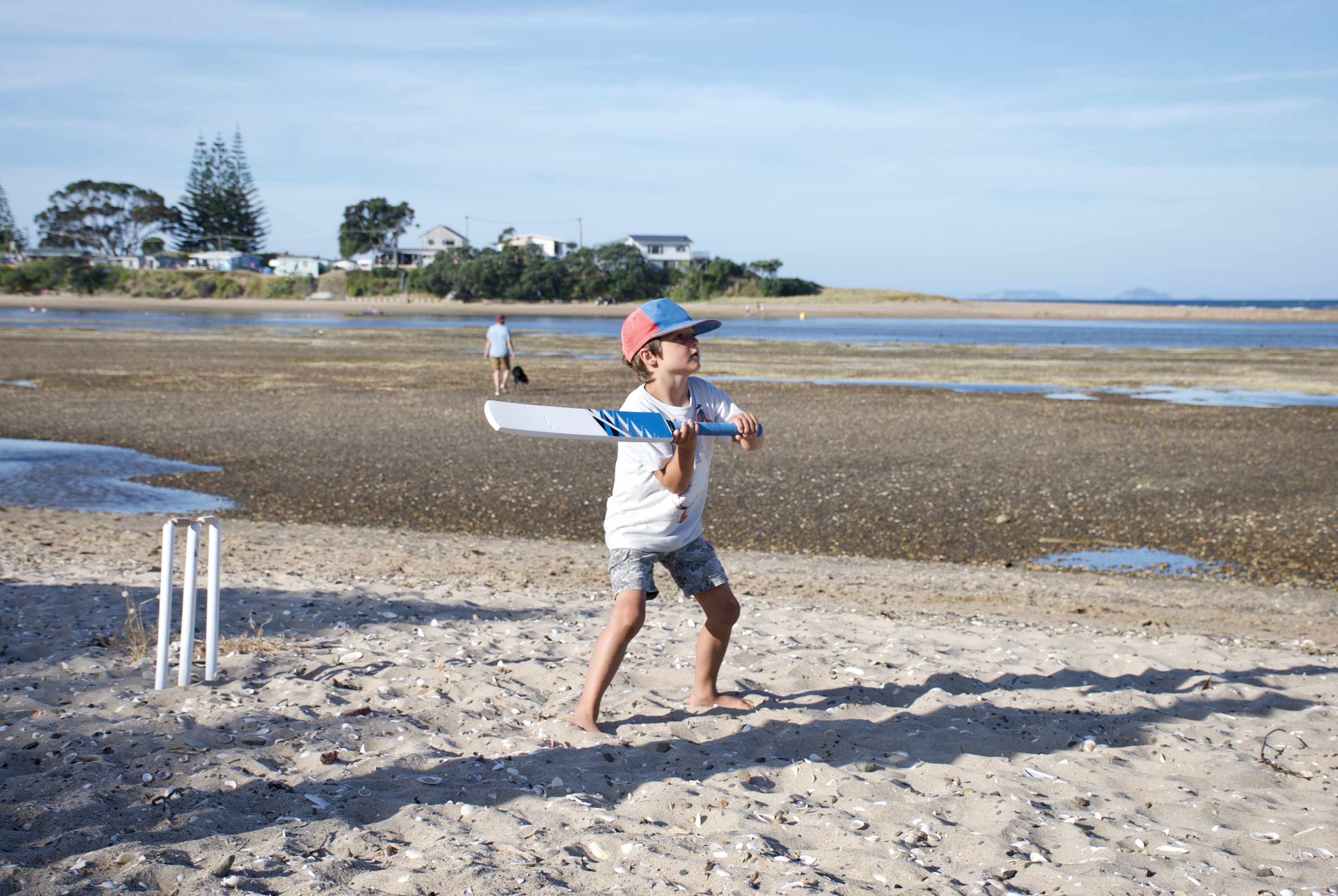 iStock-668185932 iStock-668185932